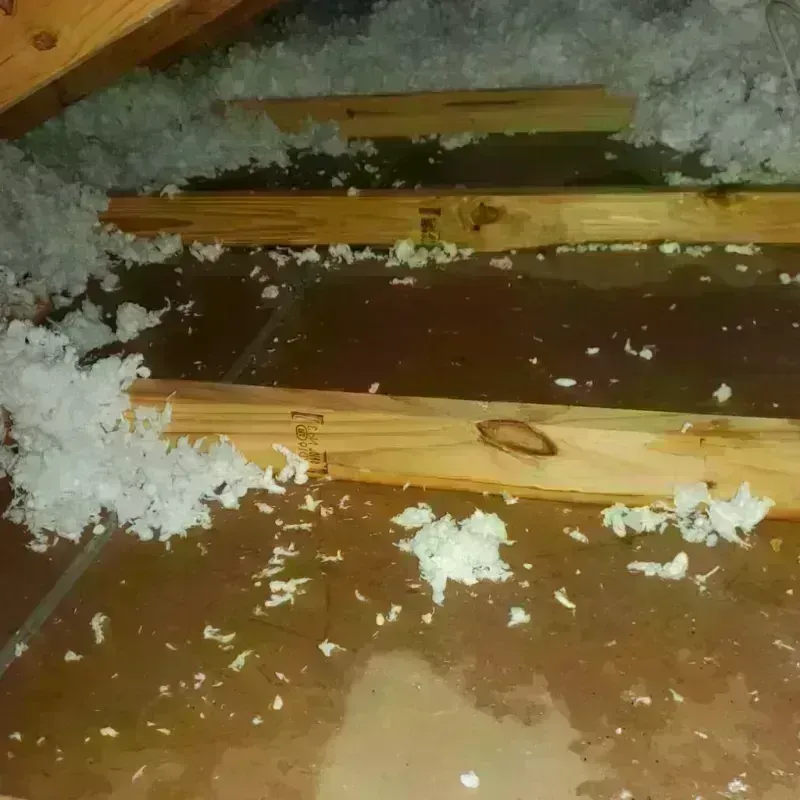 Attic Water Damage in Preston County, WV